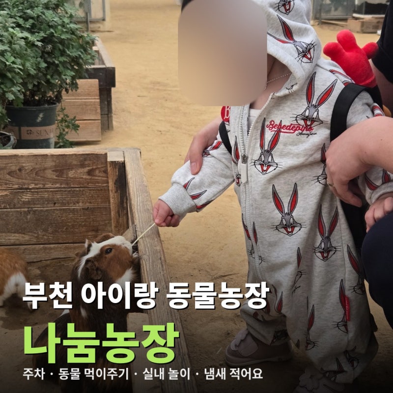 부천 나눔농장 15개월 아기랑 동물 먹이주기 후기, 주차 편하고 한산했던 주말 오후