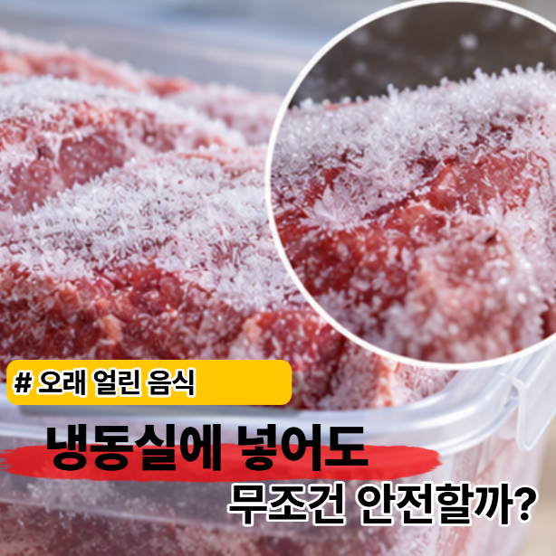 냉동실에 넣었다고 안심했나요 냉동실 보관 용기보다 먼저 확인할 것