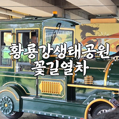 광주근교 아이랑 가볼만한곳 장성 황룡강생태공원 꽃길열차