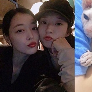 고 설리 7주기, 김선아가 반려묘 블린이를 품은 사연이 뭉클합니다
