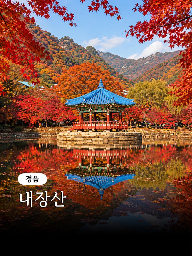내장산 단풍 절정 시기 언제? 케이블카 주차장 추천코스 정리