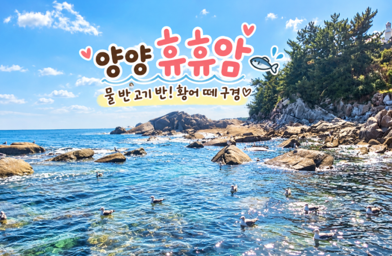 양양 가족여행 4탄_휴휴암, 물고기 반 물 반! 가을 가족여행에서 만난 황어 떼와 어머님의 손....