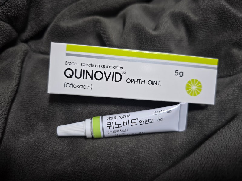 퀴노비드 안연고 사용법 주의사항 (오플록사신) -결막염, 각막염, 안검염, 다래끼
