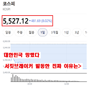 "대한민국 망했나?" 코스피 서킷브레이커 발동된 진짜 이유는...