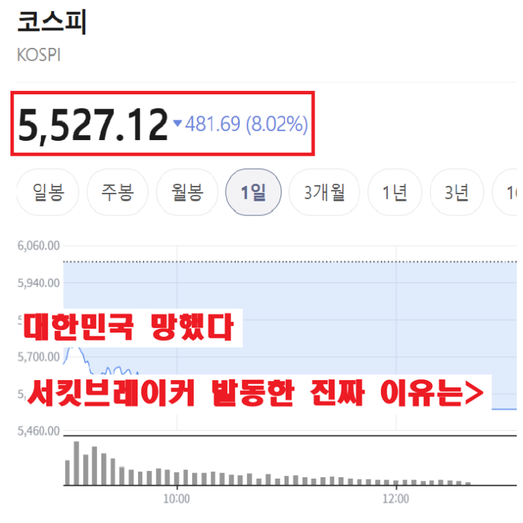 "대한민국 망했나?" 코스피 <b>서킷브레이커</b> 발동된 진짜 이유는...