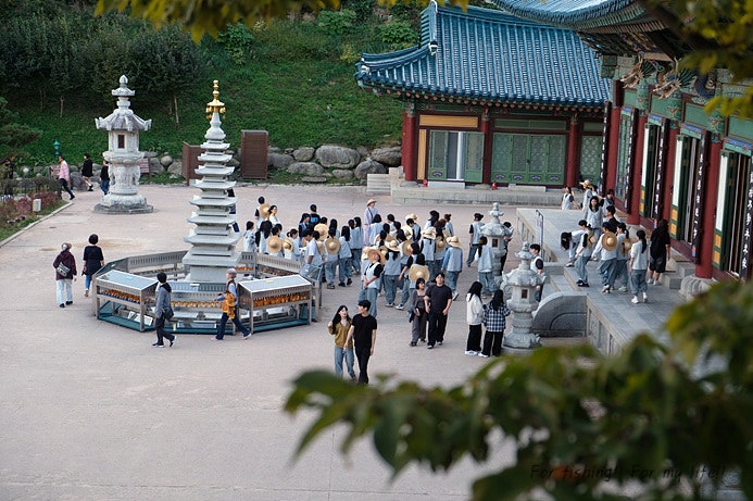 양양 가볼만한곳 양양 낙산사