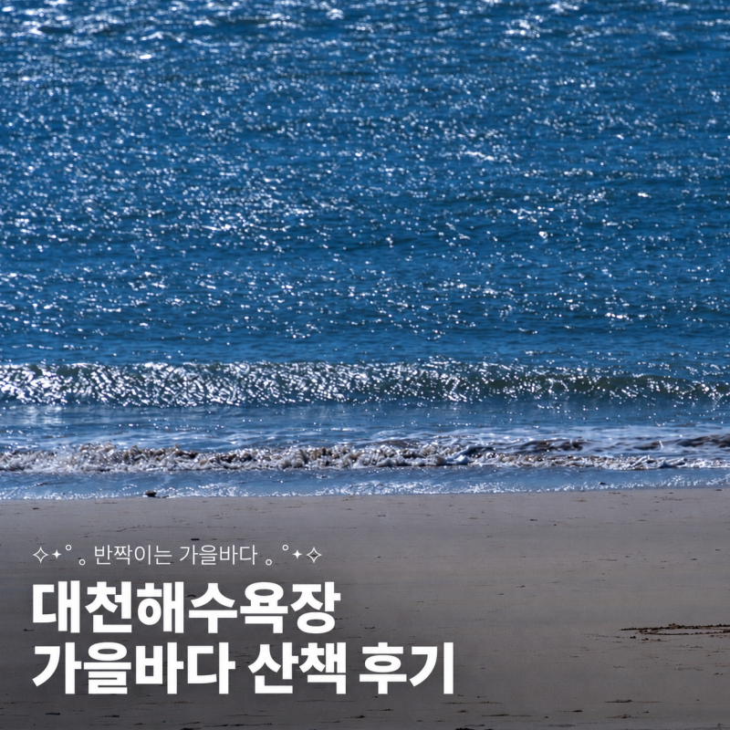 충남 보령 가볼만한곳 대천해수욕장, 무료 주차 분수광장 갈매기 새우깡까지