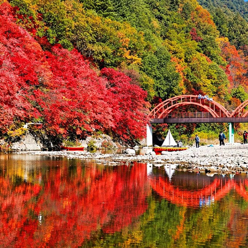 설악산 10월 초, 한라산 11월 초? 2026 단풍 절정 시기 지역별로 뽑아봤어요