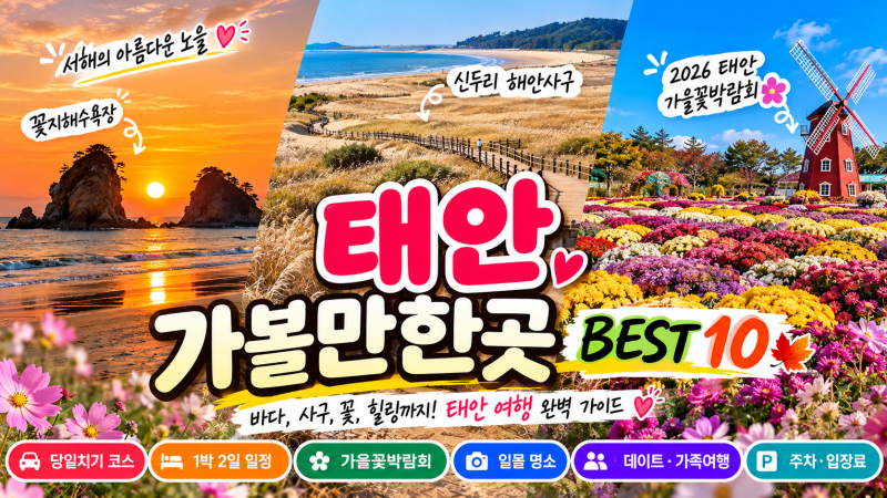 태안 가볼만한곳 BEST 10｜2026 가을꽃박람회·안면도·꽃지해수욕장 당일치기 여행코스