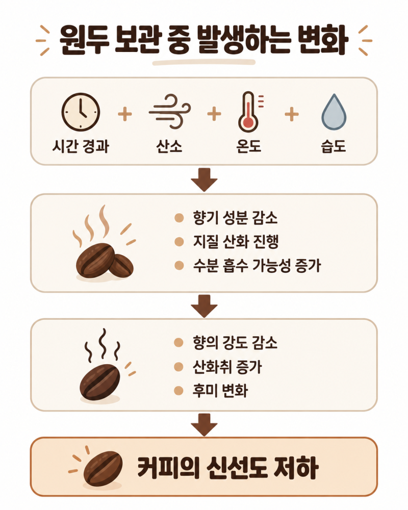 커피 원두 보관법 총정리