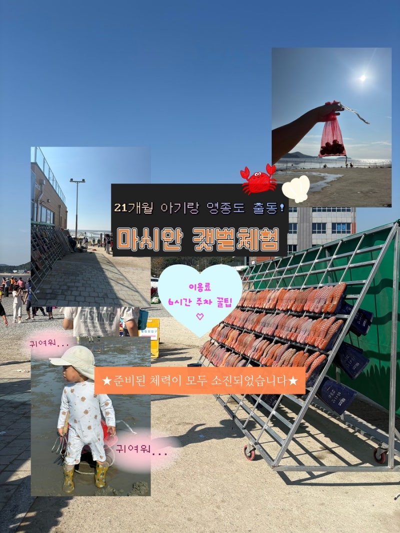 마시안 갯벌체험 22개월 아기랑 영종도 인천 갯벌체험 요금·물때시간·6시간 주차 팁