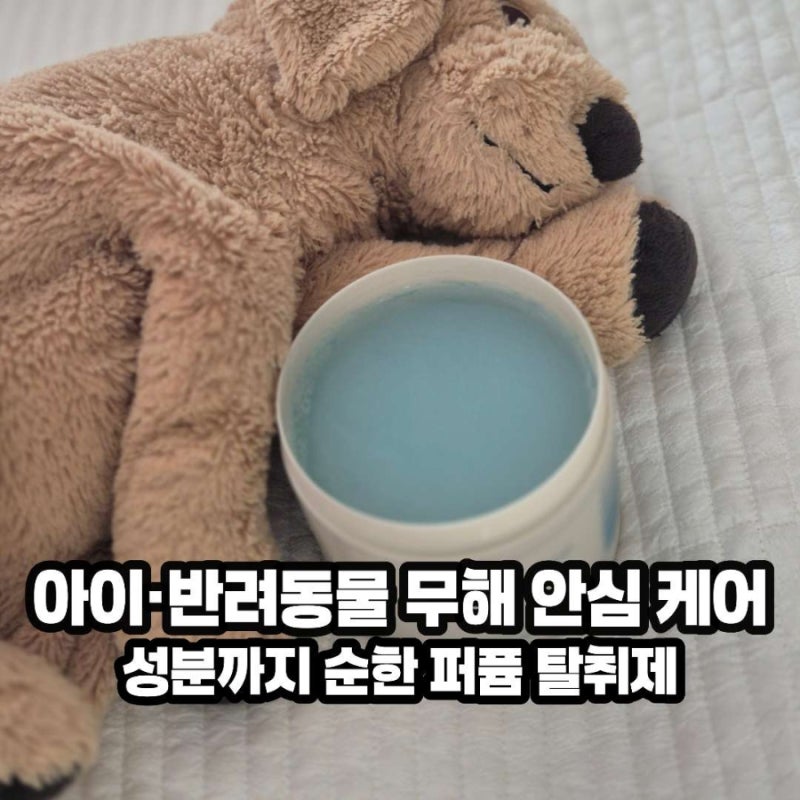 아이 키우며 향수 포기했다면? 라브아 고체탈취제로 집안 냄새 잡는 법