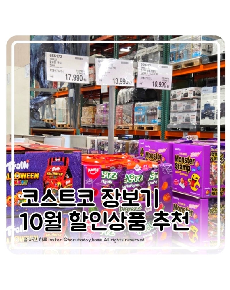 [10월 코스트코 할인 추천템] 품목 총정리 올리브유·벨레다 치약·한우 장보기