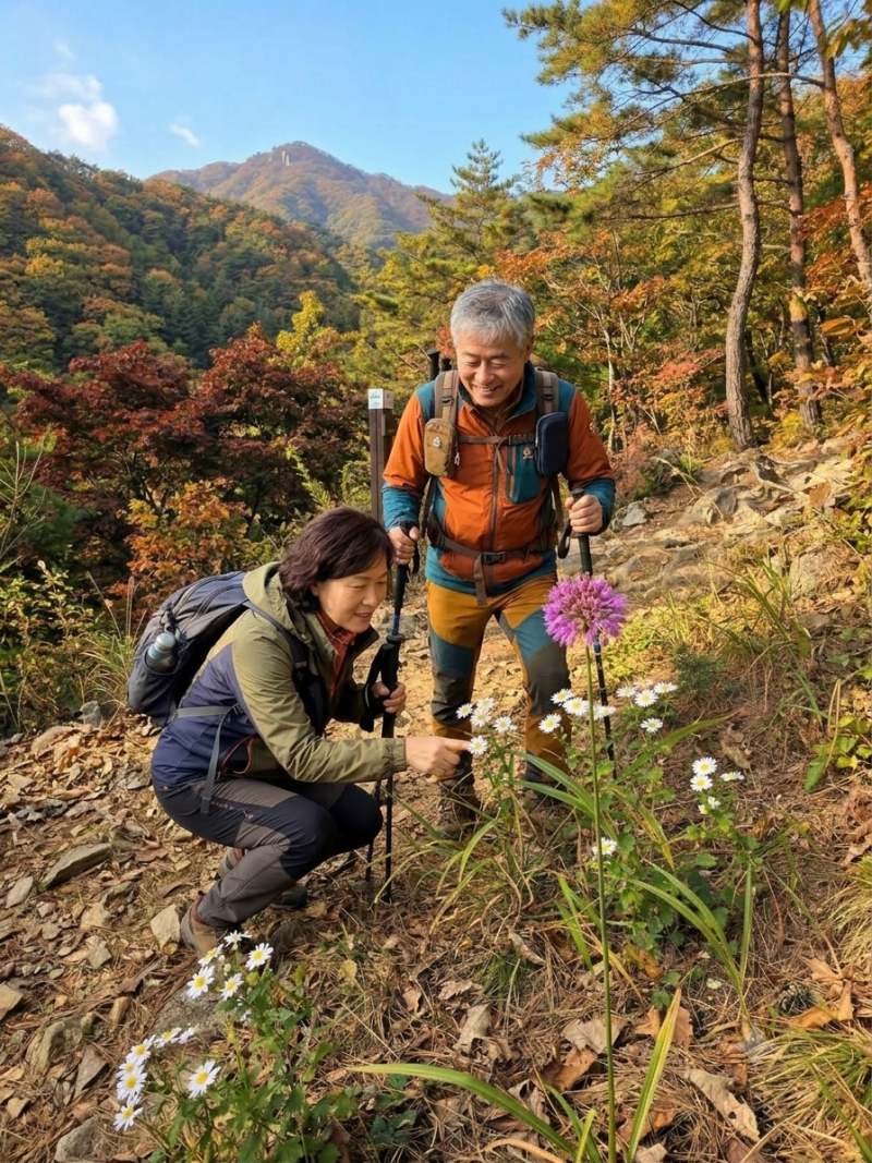 홍천 금학산 가을 산행: 산부추와 구절초, 꽃말과 유래까지 담은 야생화 산책