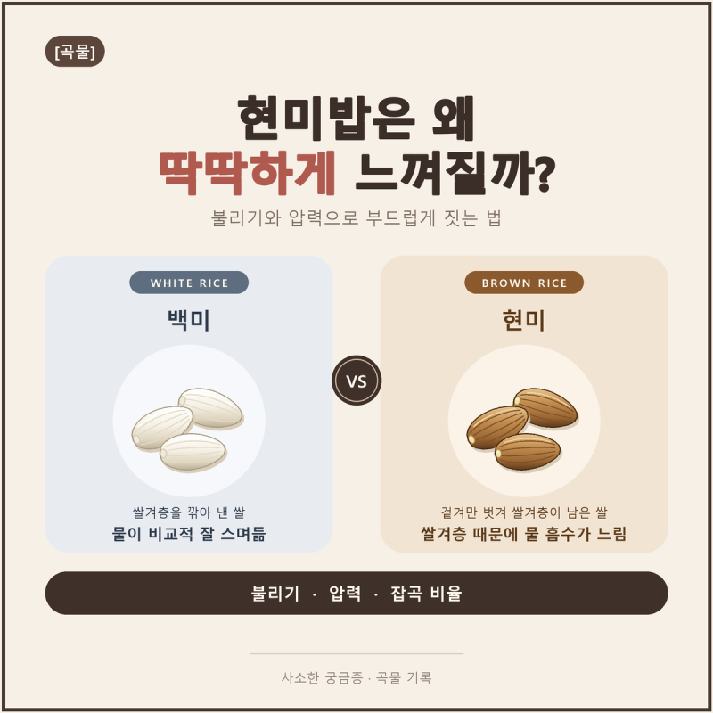 [곡물] 현미밥은 왜 딱딱하게 느껴질까?｜불리기와 압력으로 부드럽게 짓는 현미·잡곡밥