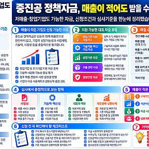 창업기업 vs 기존 중소기업, 중진공 정책자금 선택이 달라지는 이유｜업력·자금 종류·심사....
