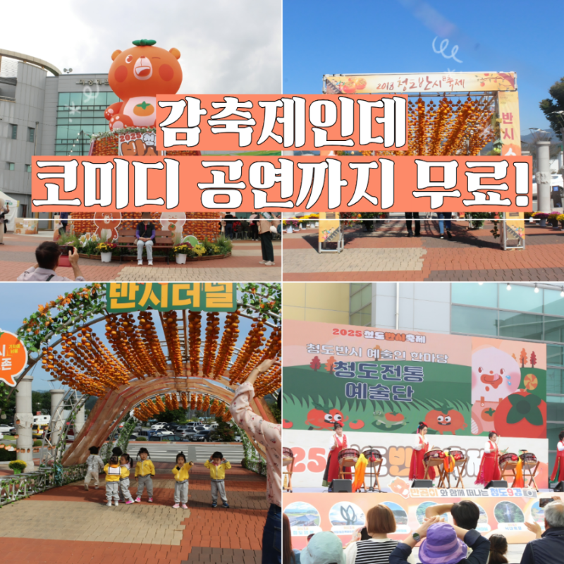 2026 청도반시축제 가수 기본정보 "감축제인데 코미디 공연까지?"