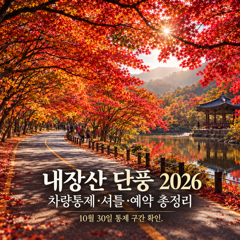2026 내장산 단풍 시기｜10월 30일 차량통제·무료셔틀·서래봉 예약