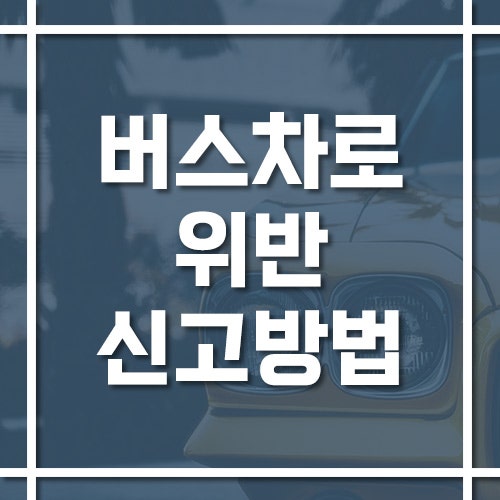 버스전용차로 위반 신고 방법과 과태료·범칙금·벌점 규정, 탑승 인원 기준은?