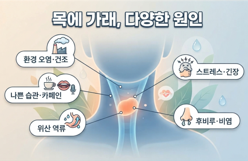 목에 가래 낀 느낌, 억지로 뱉지 마세요! 안전하게 가래 빼는 법 4가지