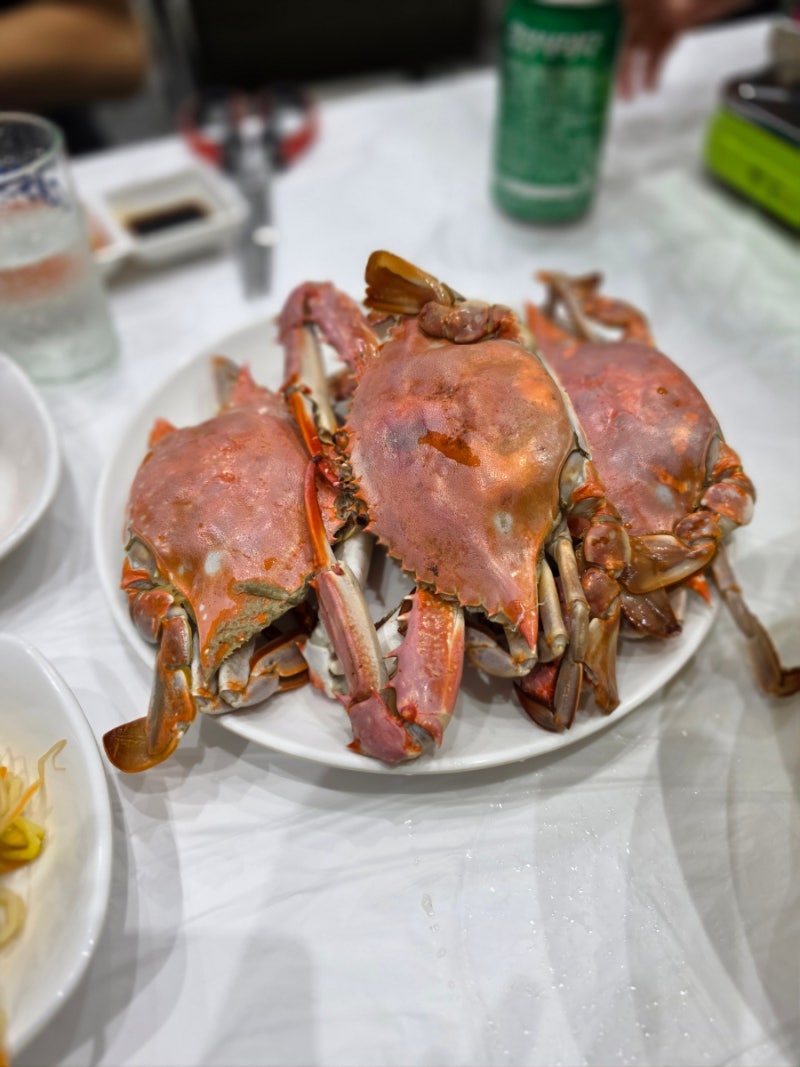 가을명소 충남 서천 반값여행 맛집 코스 & 마량리동백나무숲 (서천특화시장 꽃게·대하 시세)