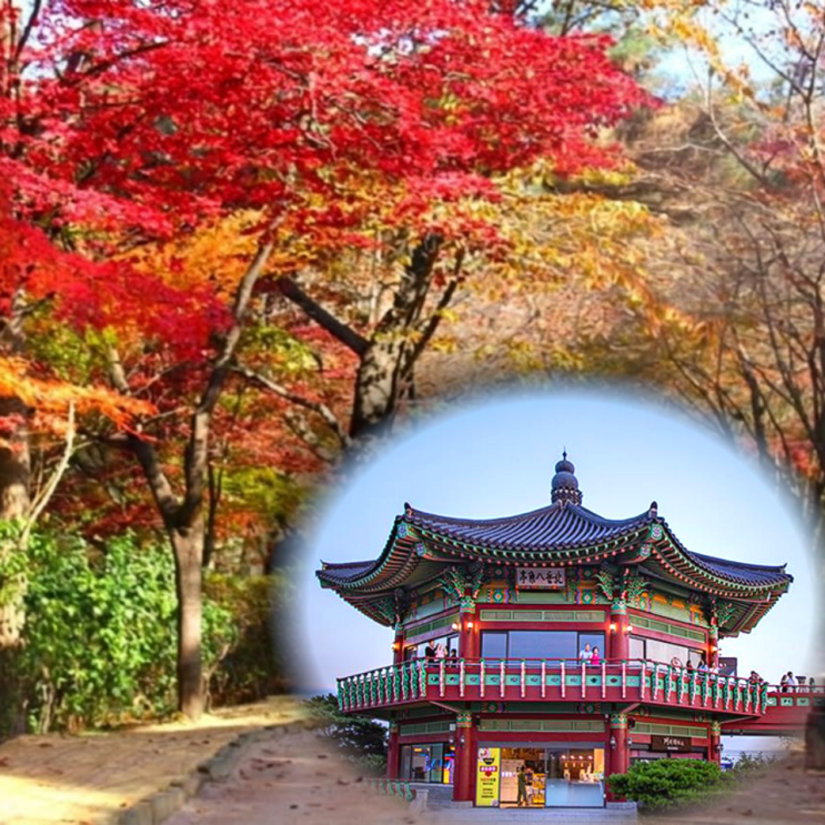 <b>북악산</b> 개방 등산코스 총정리｜북악스카이웨이·팔각정·단풍시기