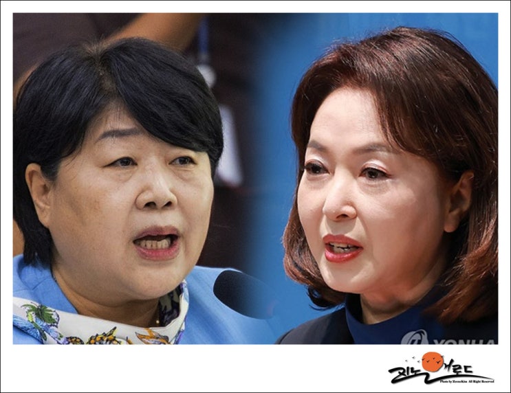 <b>서영교</b> "윤, 20억 영치금" <b>김민전</b> "부러우면 가보세요"