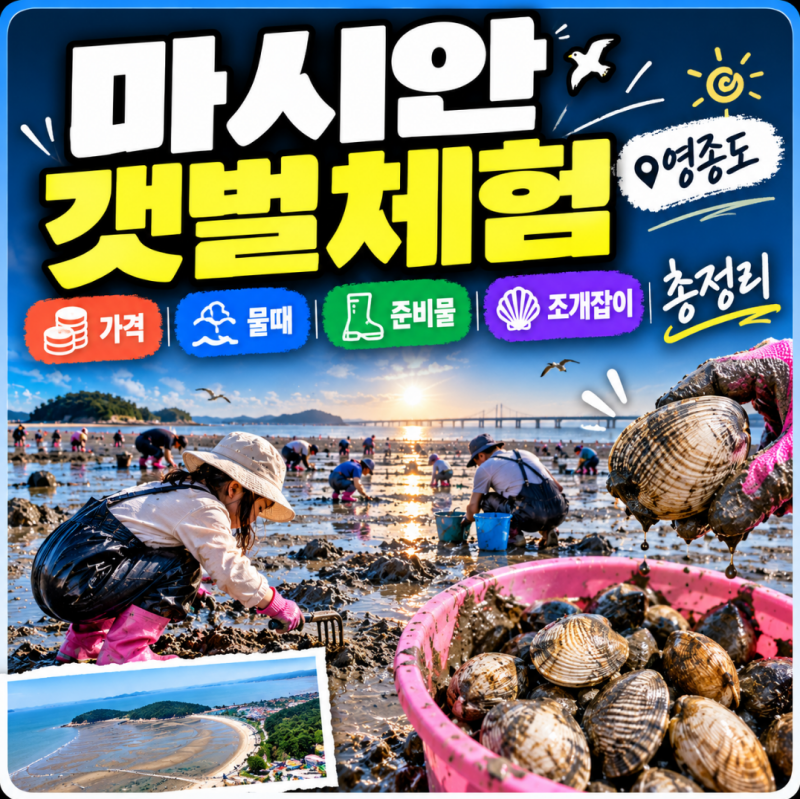 마시안갯벌체험 가격·물때·준비물｜영종도 조개잡이 체험 총정리