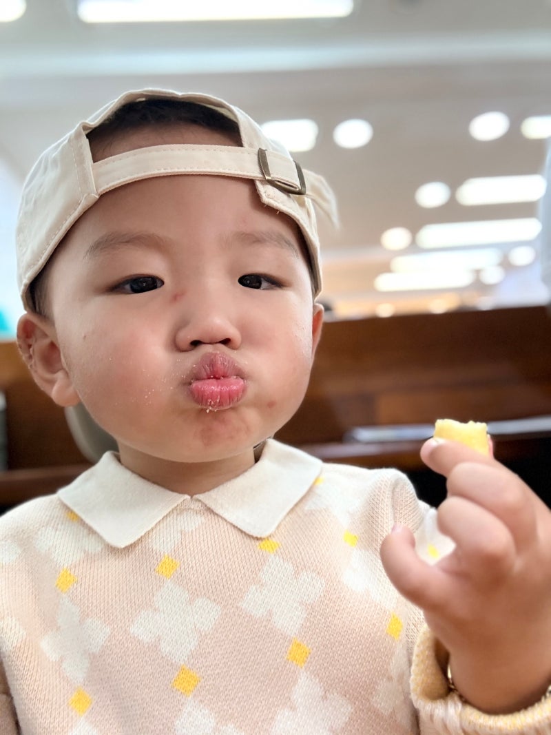 25개월 아기 발달 총정리｜언어 발달부터 키·몸무게, 식습관까지