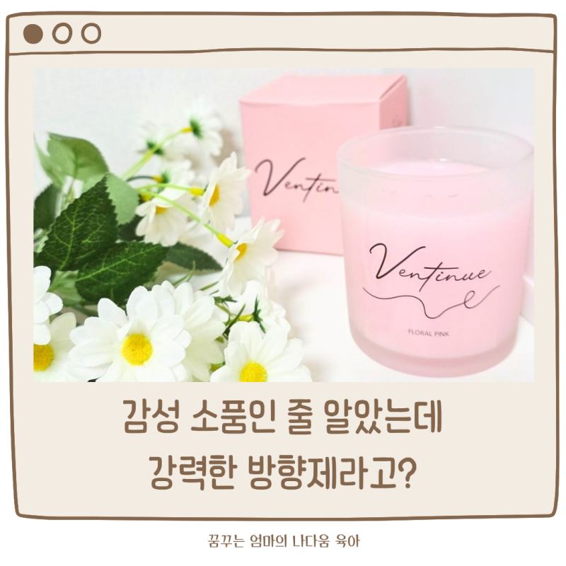 벤티뉴 고체 탈취제, 실내 탈취제 부터 차량용 방향제 까지 활용하기 좋아