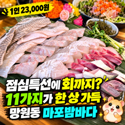 망원동점심 마포밤바다 횟집 추천, 11가지 나오는 점심특선 솔직 후기