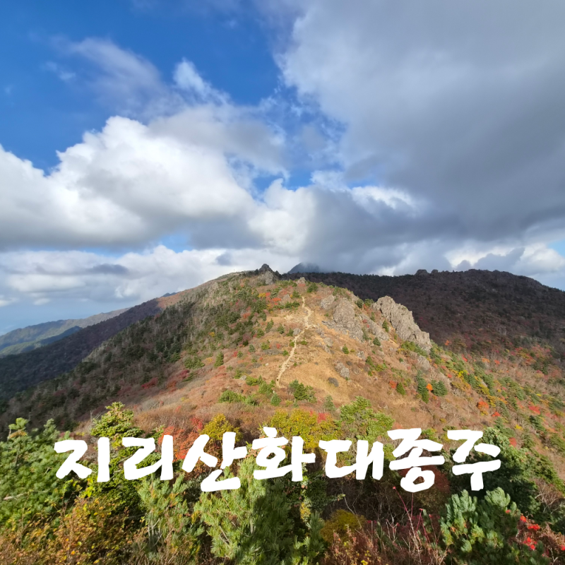 지리산 화대종주 2박 3일｜2일 차 노고단에서 장터목까지, 26km의 긴 여정
