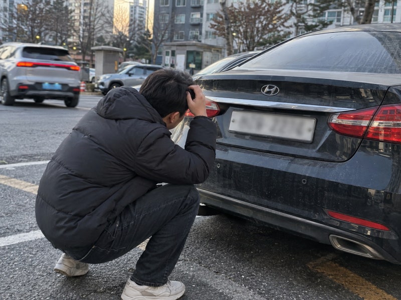 파란색 신형 신차 새차 번호판 차이점 구분 방법, 자동차 번호판 교체 비용 정리.