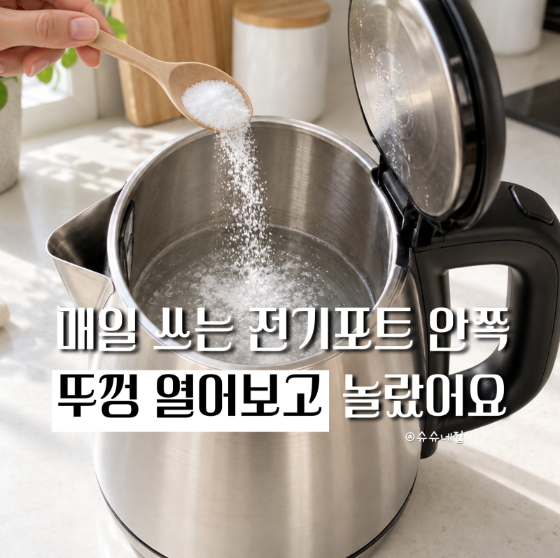 "물로만 헹구고 썼는데 안쪽 보고 놀랐어요" 스텐 전기주전자 세척 방법과 전기포트 물때 제....