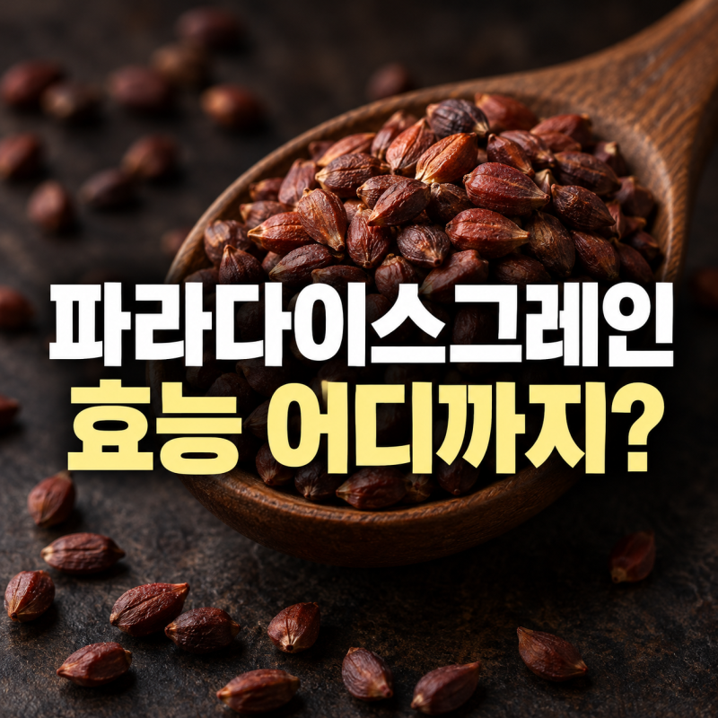 파라다이스 그레인 효능 5가지와 부작용, 먹는법부터 가격·추천 기준까지