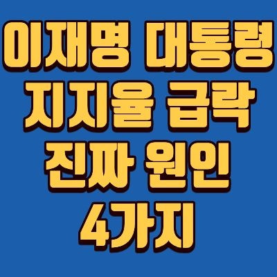 "국민의 경고장" 이재명 <b>대통령 지지율</b> 급락에 숨겨진 진짜 원인