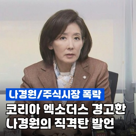 나경원, "황금알 낳는 거위 배 갈라"…SK하이닉스에 꺼낸 경고가 이거였다