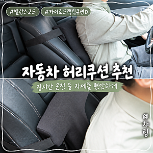 자동차 허리쿠션 추천, 발란스코드 카이로프랙틱쿠션D 차량용 등받이