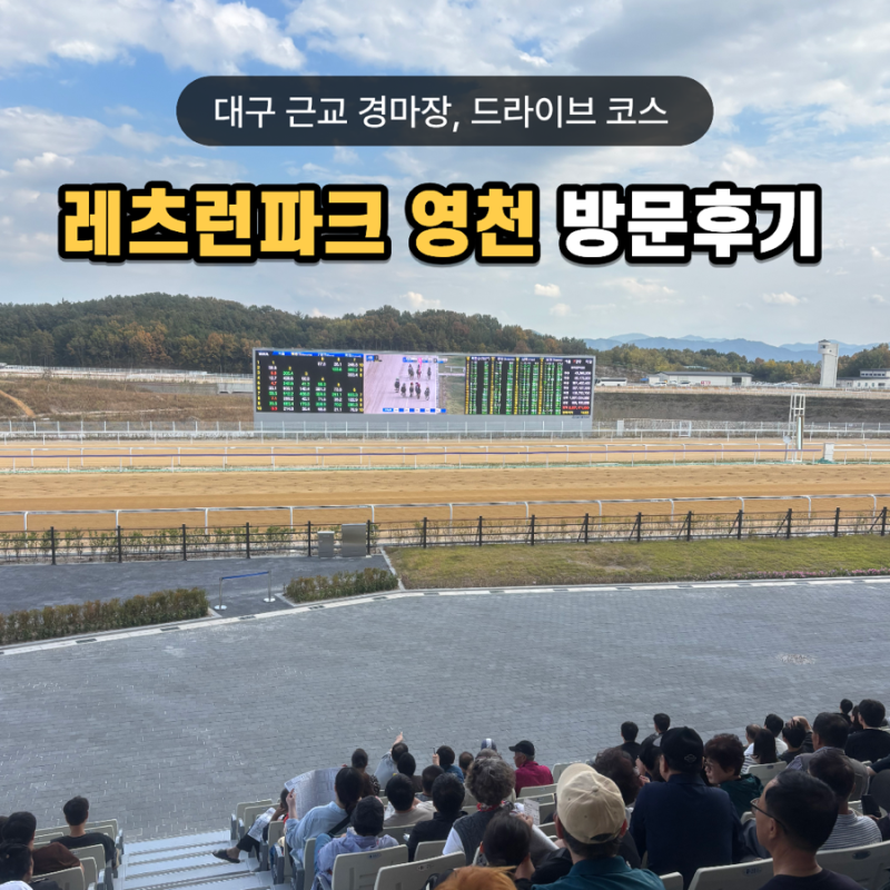 레츠런파크 영천 대구근교 드라이브 10월 11일 경마장 대통령배 무료입장 내돈내산 후기