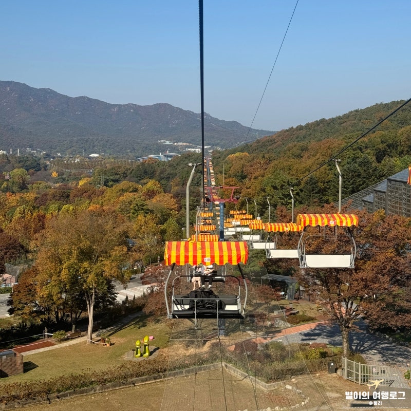 가을 단풍 명소 서울대공원 리프트 패키지 가격 주차 후기