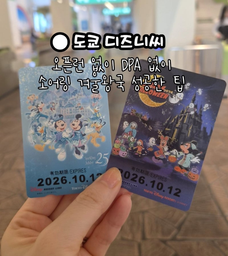 도쿄 디즈니씨 오픈런 없이, DPA없이 겨울왕국,라푼젤, 소어링 다 탄 꿀팁 공유