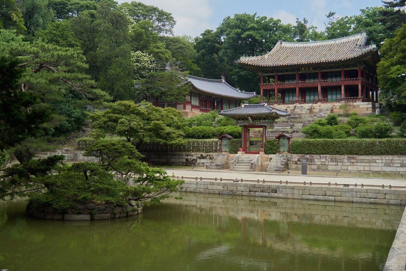 가을 예약필수 여행지 / 오픈 1분 컷! '창덕궁 후원·국립수목원 광릉숲·곰배령·화담숲·고궁....