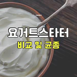요거트스타터 추천 비교: 헤밀레·비타민마을·메이준뉴트리 그릭요거트 스타터