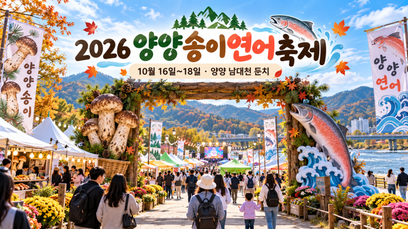 연어를 맨손으로 잡는다고?! 2026 양양송이연어축제 일정·체험·먹거리·주차 총정리