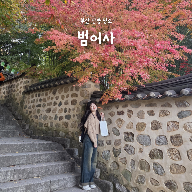 부산 단풍 명소 추천, 범어사 단풍 절정 후기 대중교통·포토존 총정리