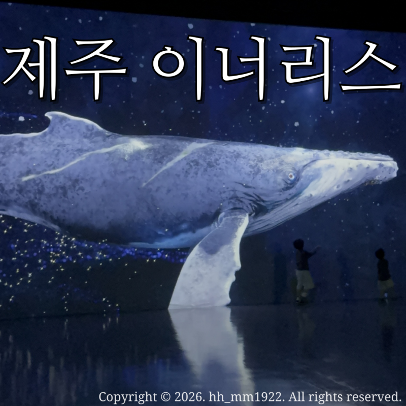 제주도동쪽가볼만한곳 이너리스/ 아이들과 땅 하늘 바다 신비로운 환상적인 실내미디어아트