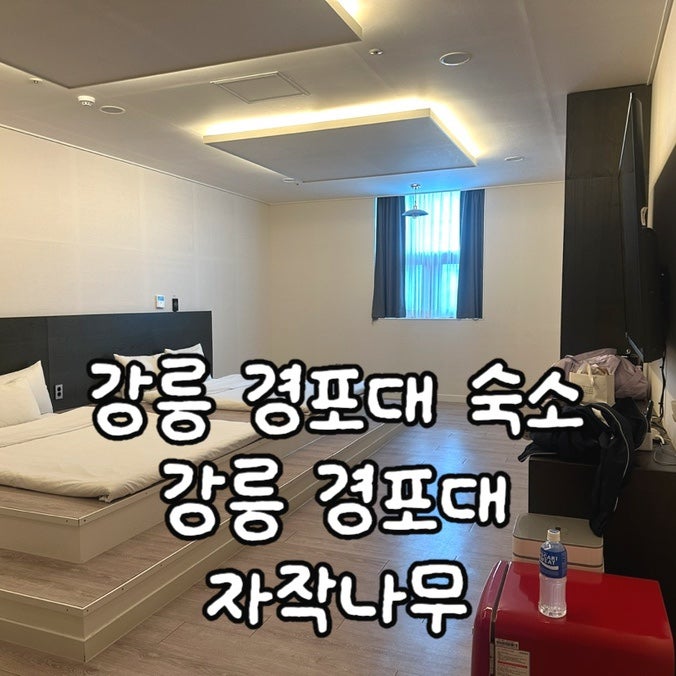 강릉 경포대 숙소 자작나무호텔, 4인 온돌 다다미 객실 후기