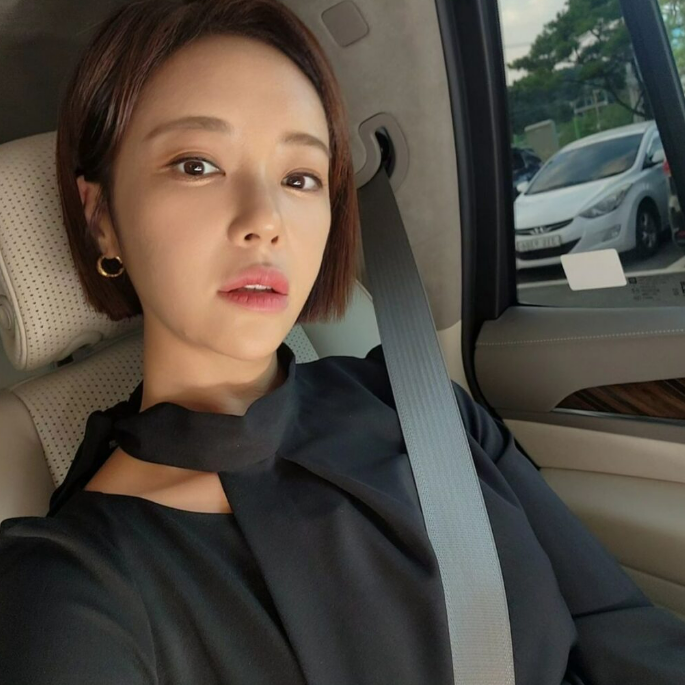 황정음이 아이들 태우고 직접 운전한다는 "5억원짜리 SUV 정체"