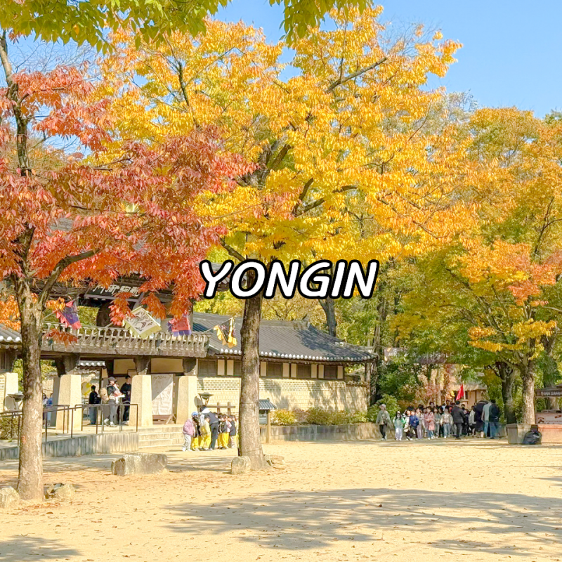 가을 단풍 구경 고민 끝! 경기도 단풍 명소 한곳만 간다면 여기