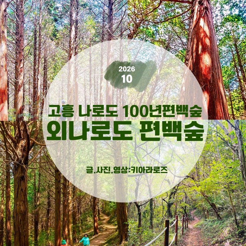 고흥 가볼만한곳 나로도 봉래산! 100년 된 외나로도 편백숲 산책
